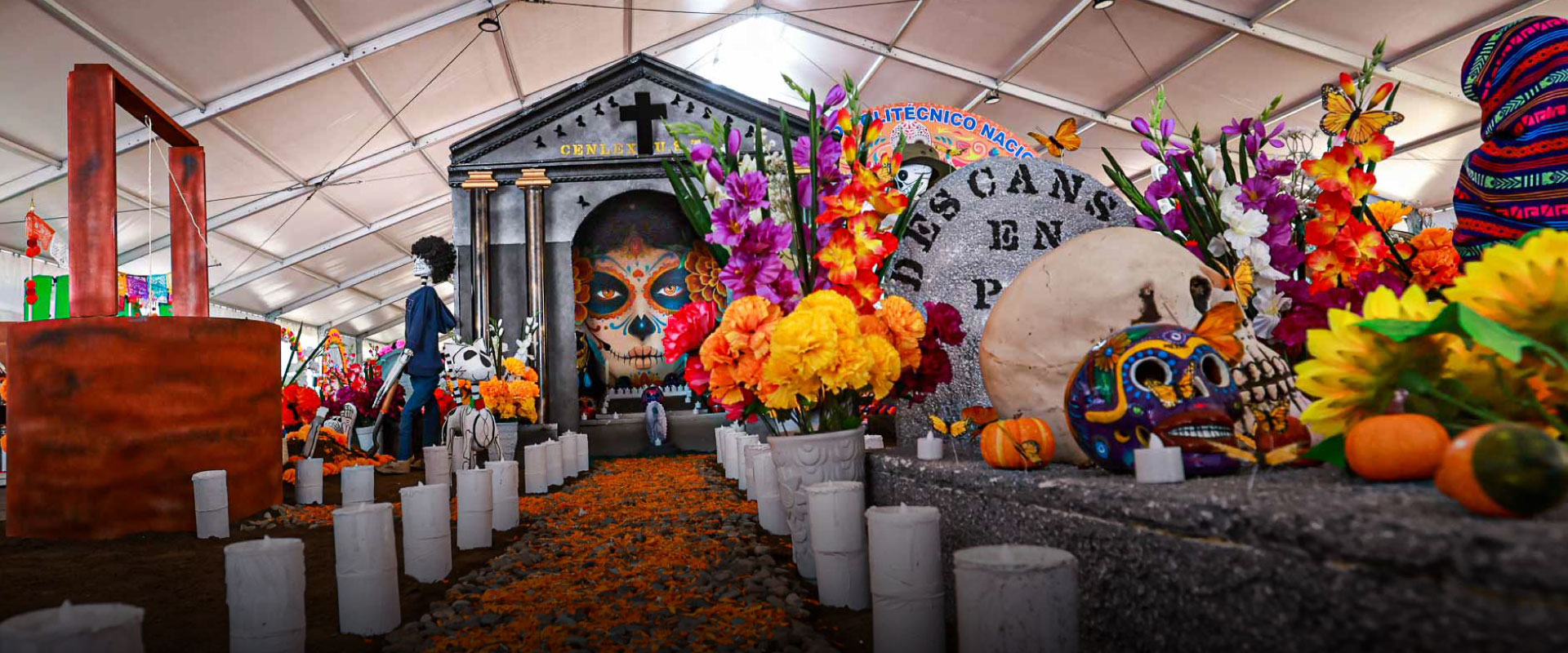 IPN: Conectando talento y compromiso