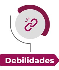 debilidades SGC