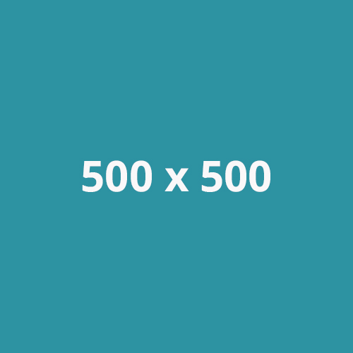 imagen 500x 500