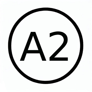 a2