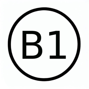 b1