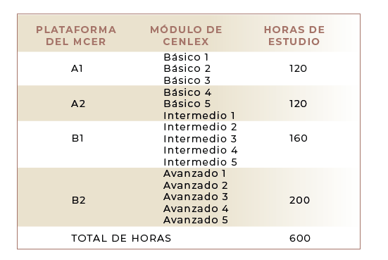 Programa Italiano