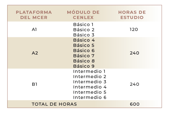 Programa Japonés