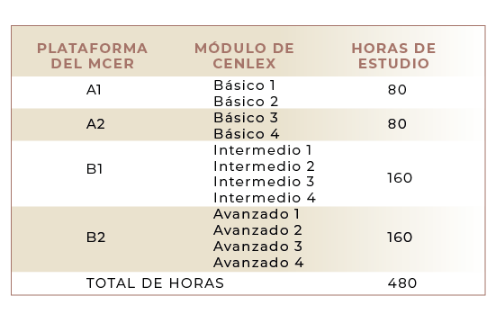 Programa Portugués