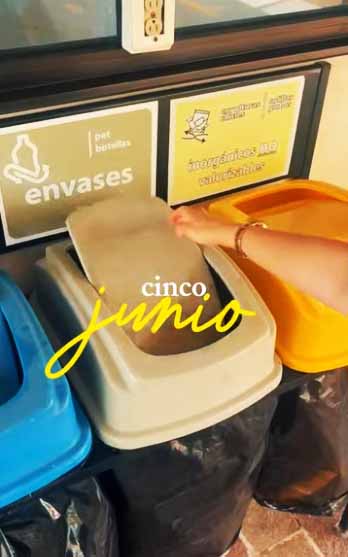 Día Mundial Del Medio Ambiente 