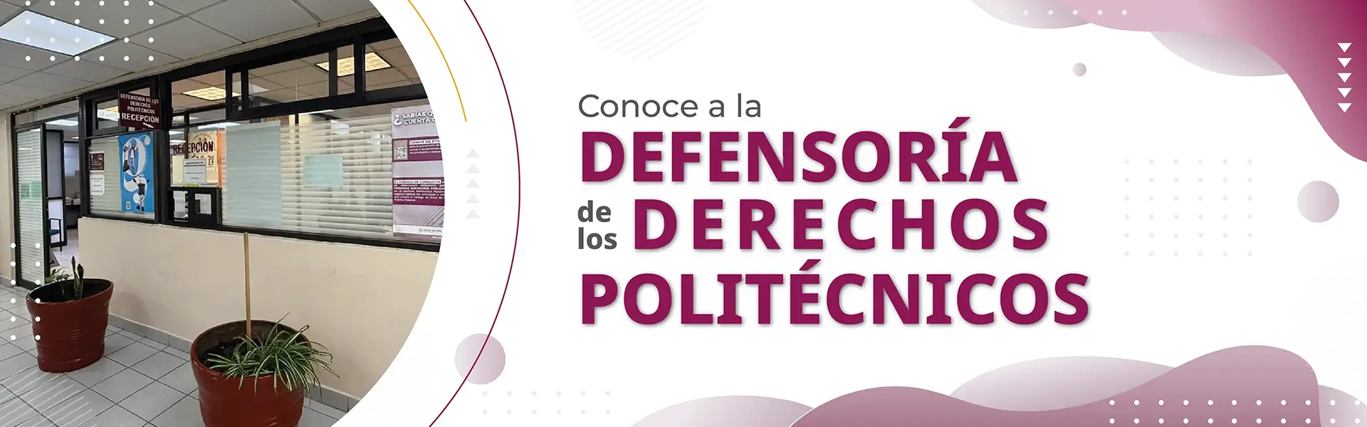 Defensoría de los Derechos Politécnicos