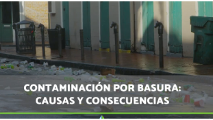 basura y riesgos