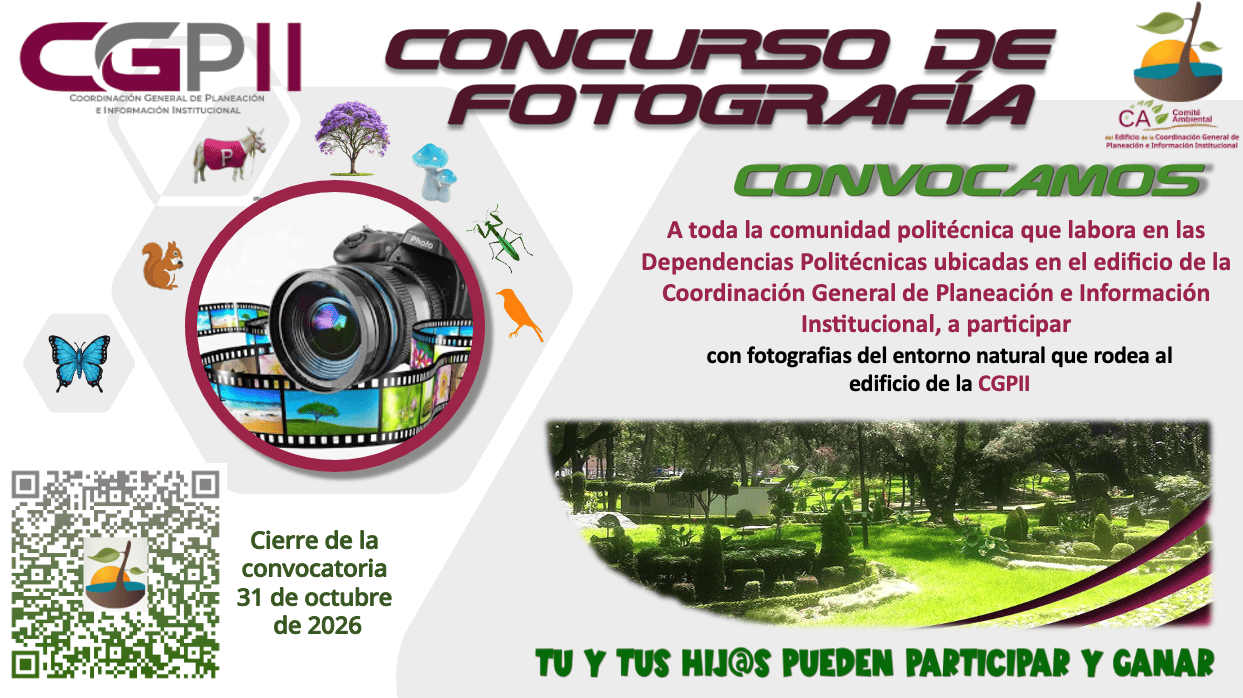 concurso de fotografia