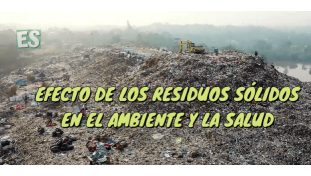 Basura sus Consecuencias