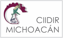 ciidir michoacan