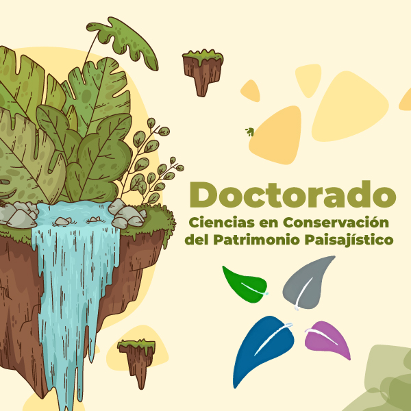 Doctorado