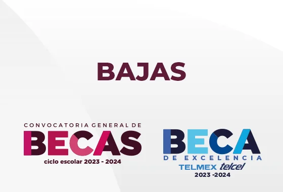 Becas bajas 23-24