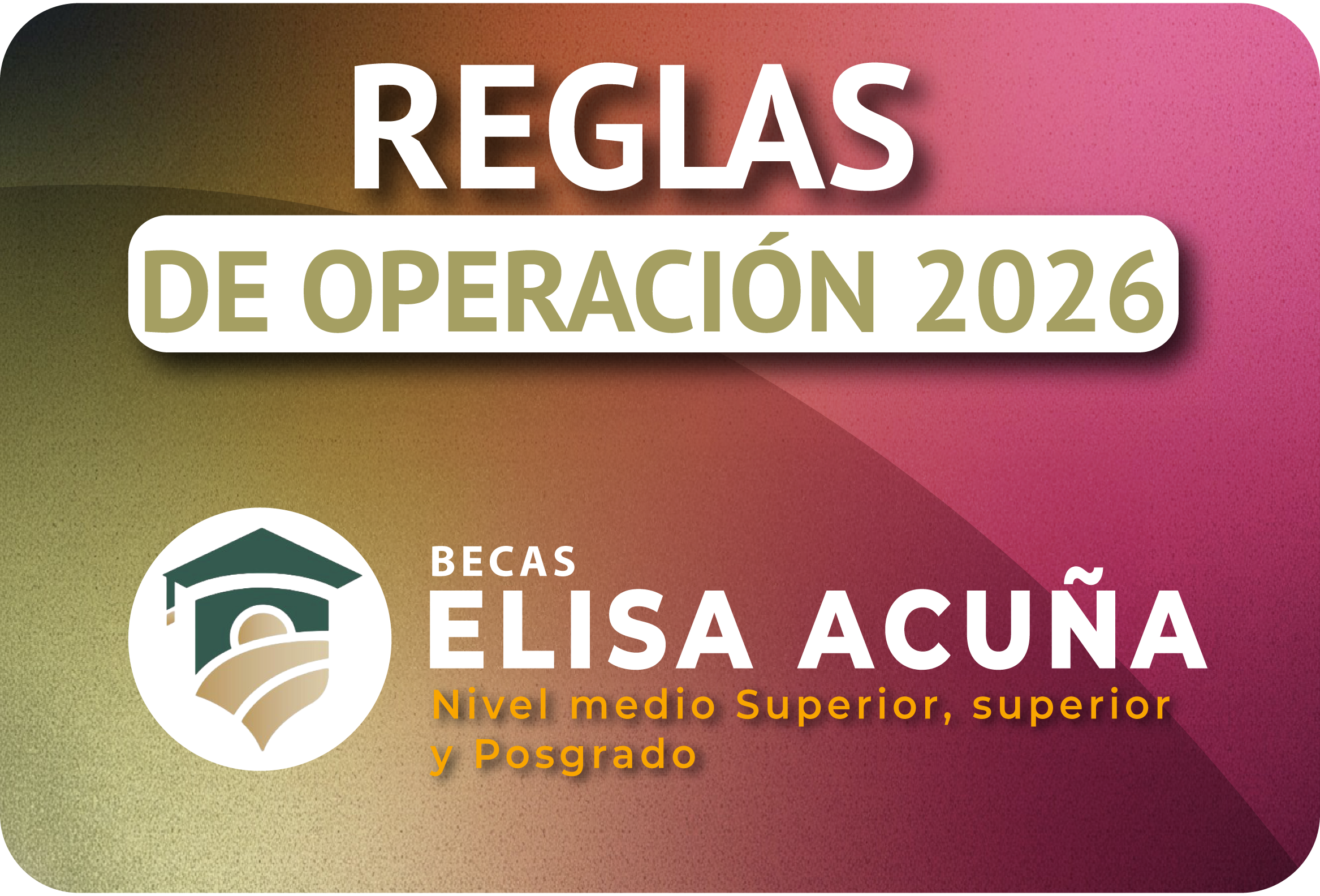 reglas de operación elisa acuña