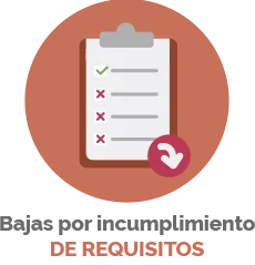 Bajas por incumplimiento de requisitos