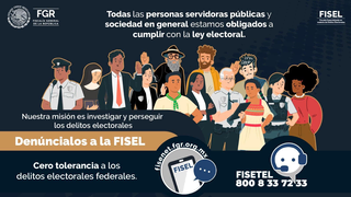 Todos obligados a cumplir con la Ley Electoral 