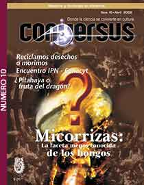 Conversus 10