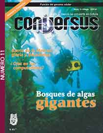 Conversus 11
