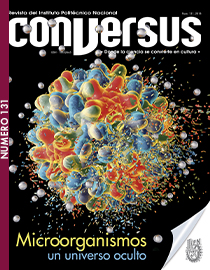 Conversus 131