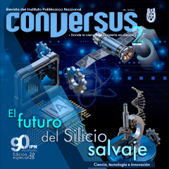 El futuro del silicio