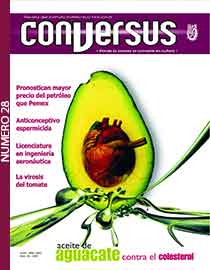 Conversus 28