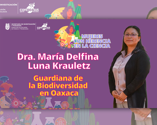 Agencia Informativa Conversus (AIC) – DDiCyT