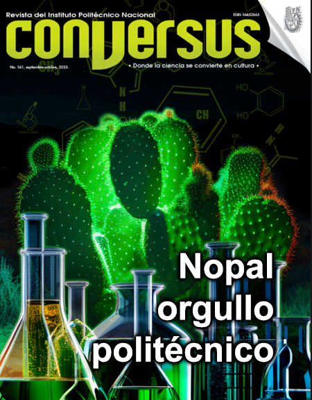 carrusel_161_conversus.jpg