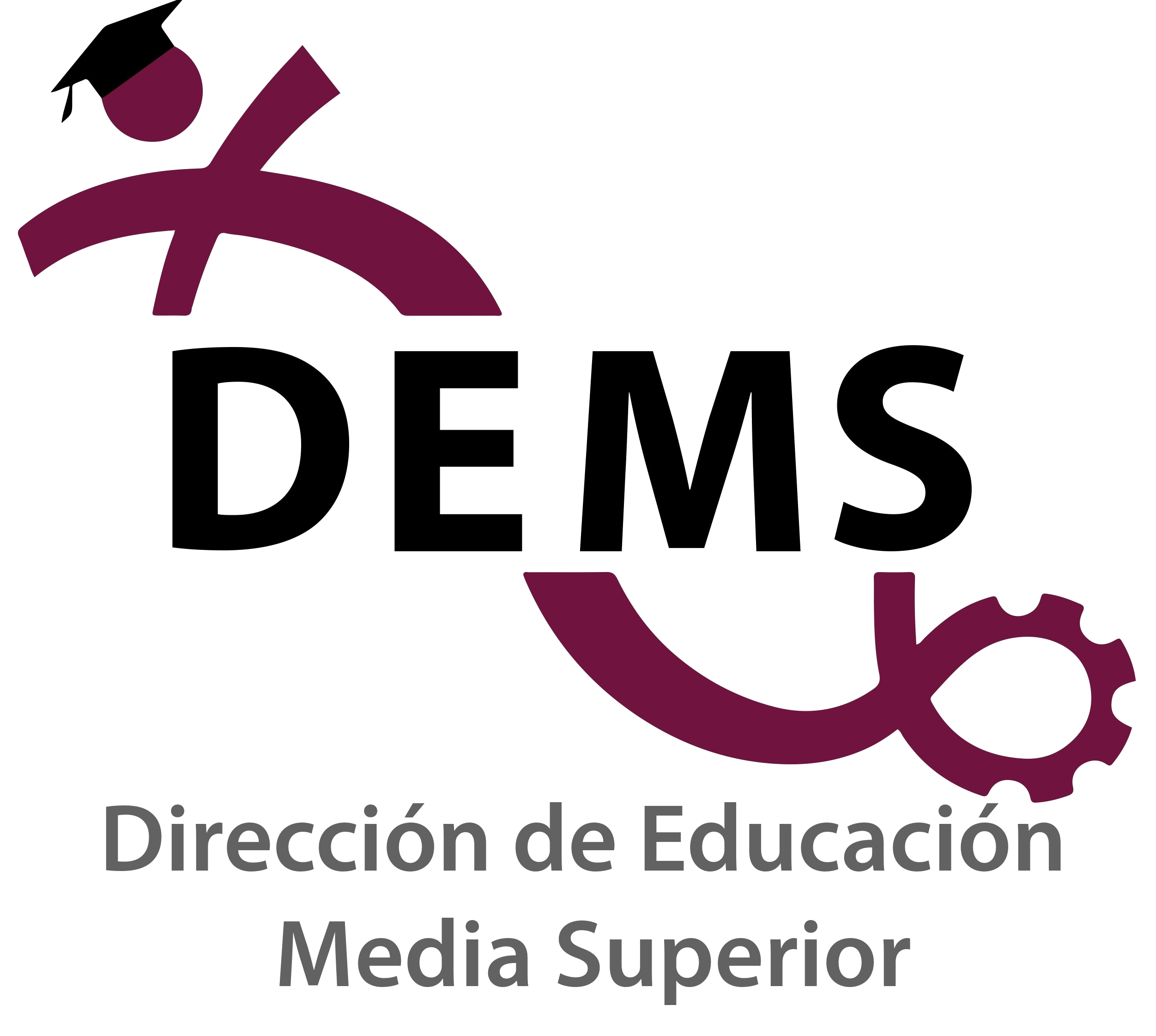 Dirección de Educación Media Superior