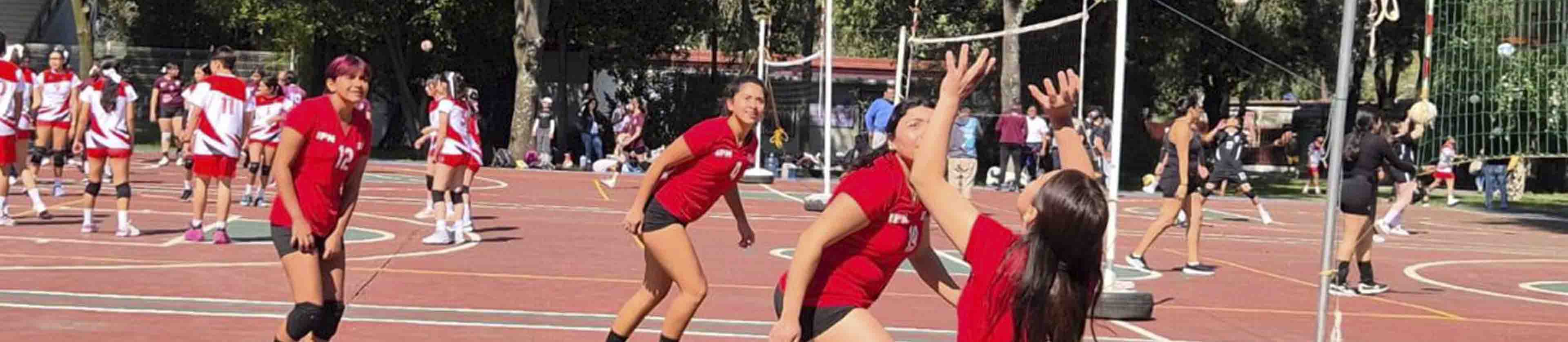 voleibol_banner_1.jpg