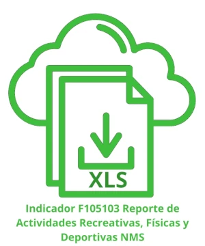 Icono CF NMS Indicador F105503