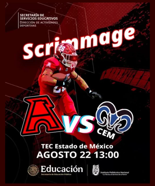 Liga Mayor