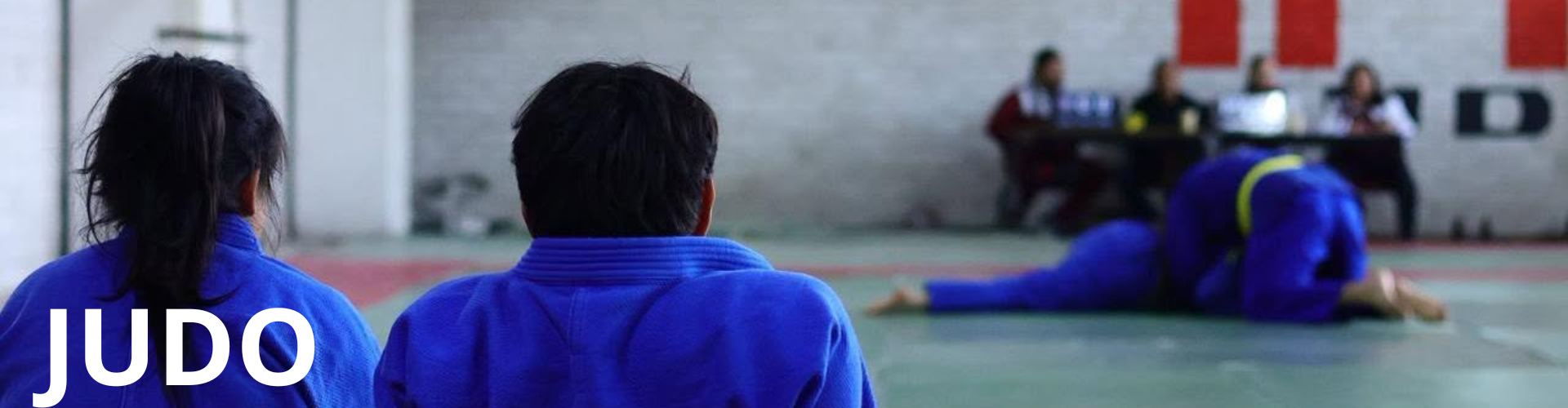 Disciplina de Judo