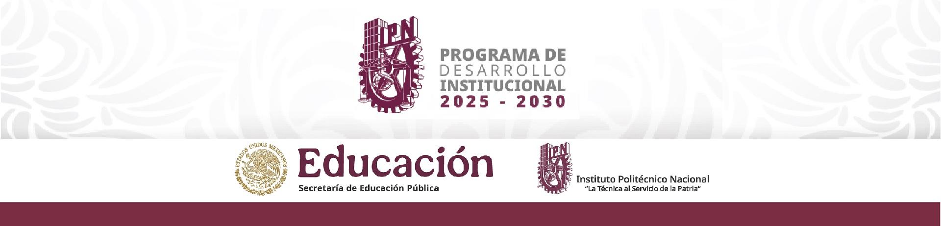 pdi-2025-2030.jpg