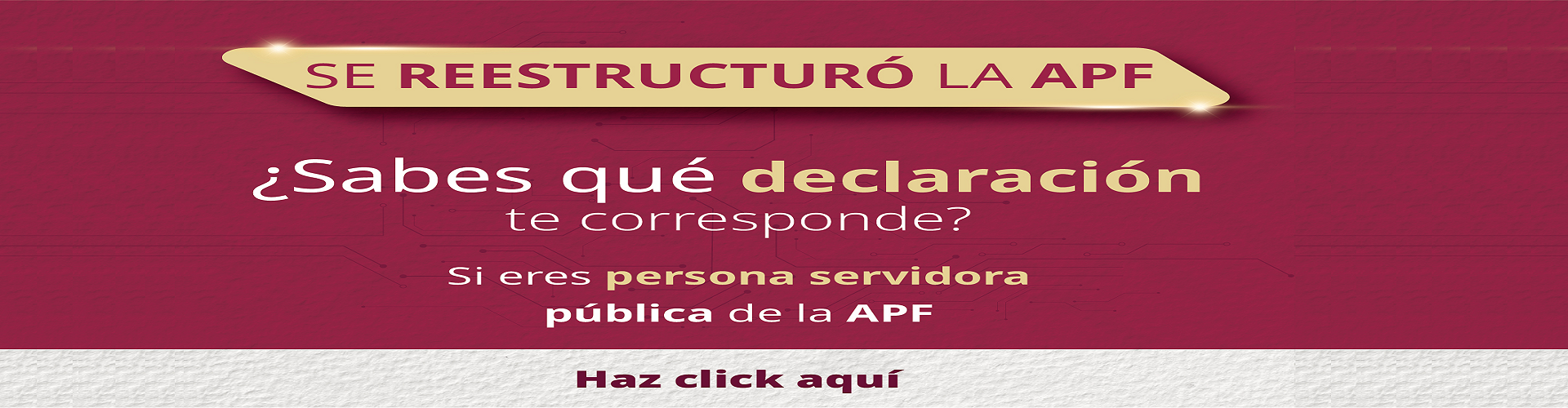 fondo 1.png
