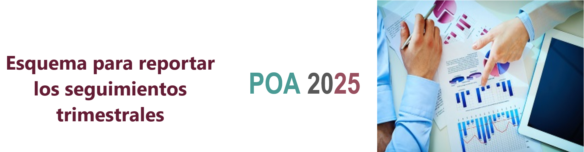 Esquema_POA2025