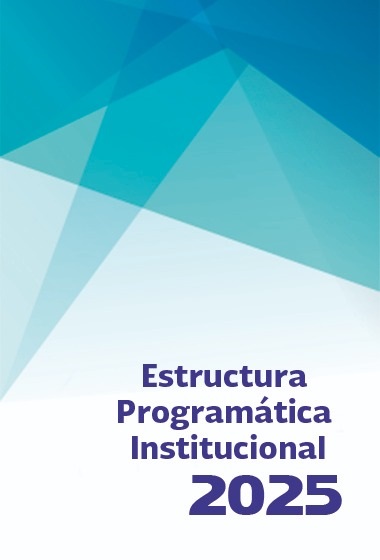 Estructura Programática Institucional 2025