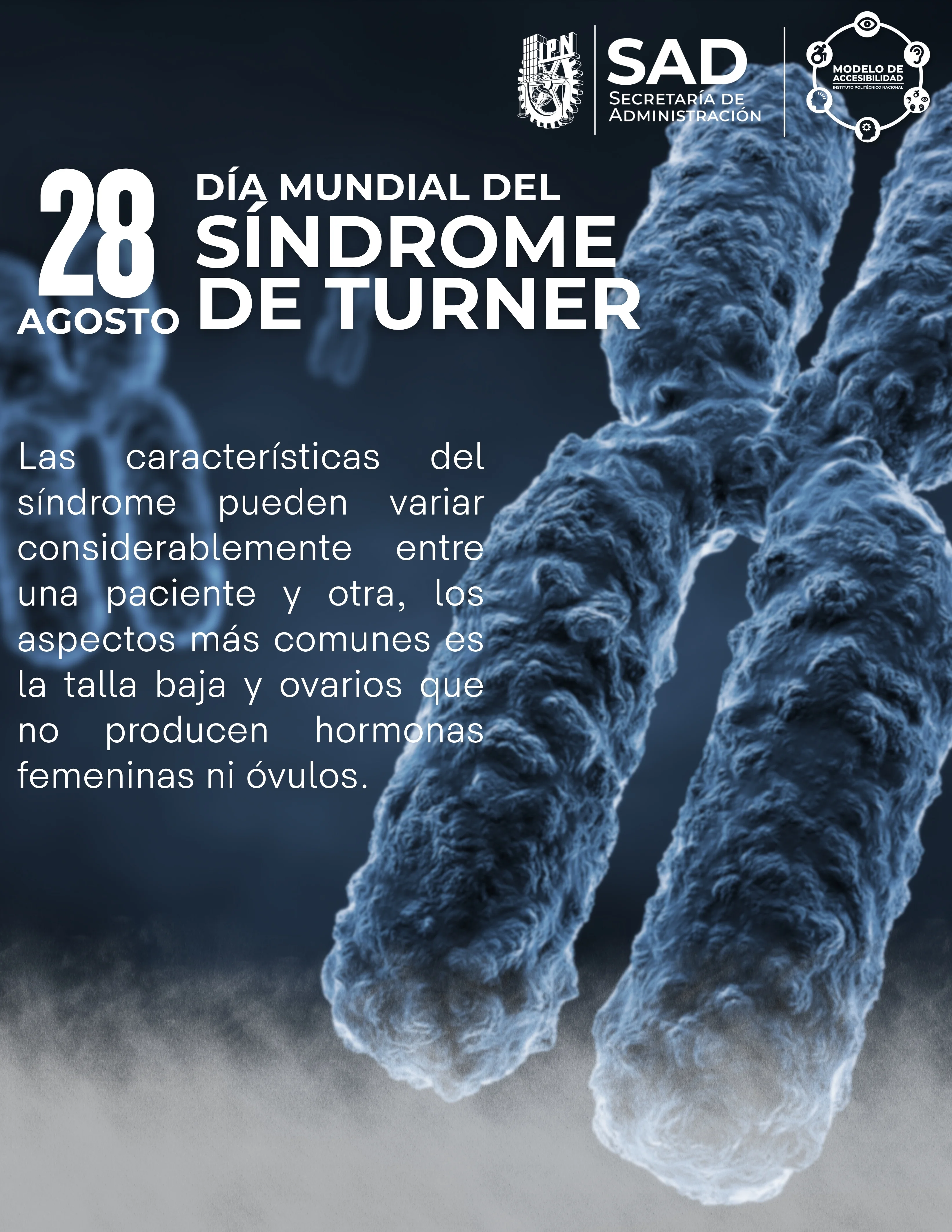Dia_Mundial_del_Sindrome_de_Turner