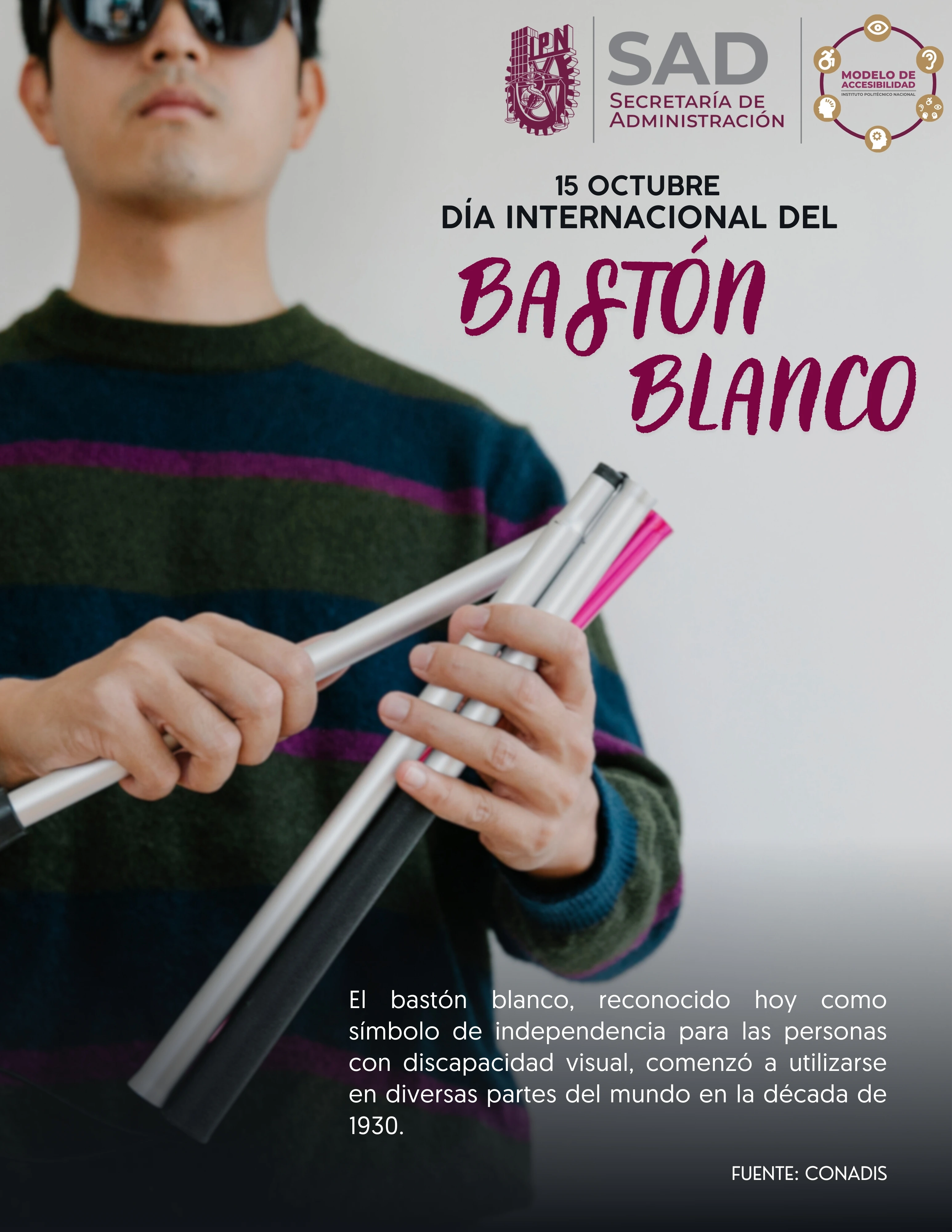 DIa Internacional del Baston Blanco