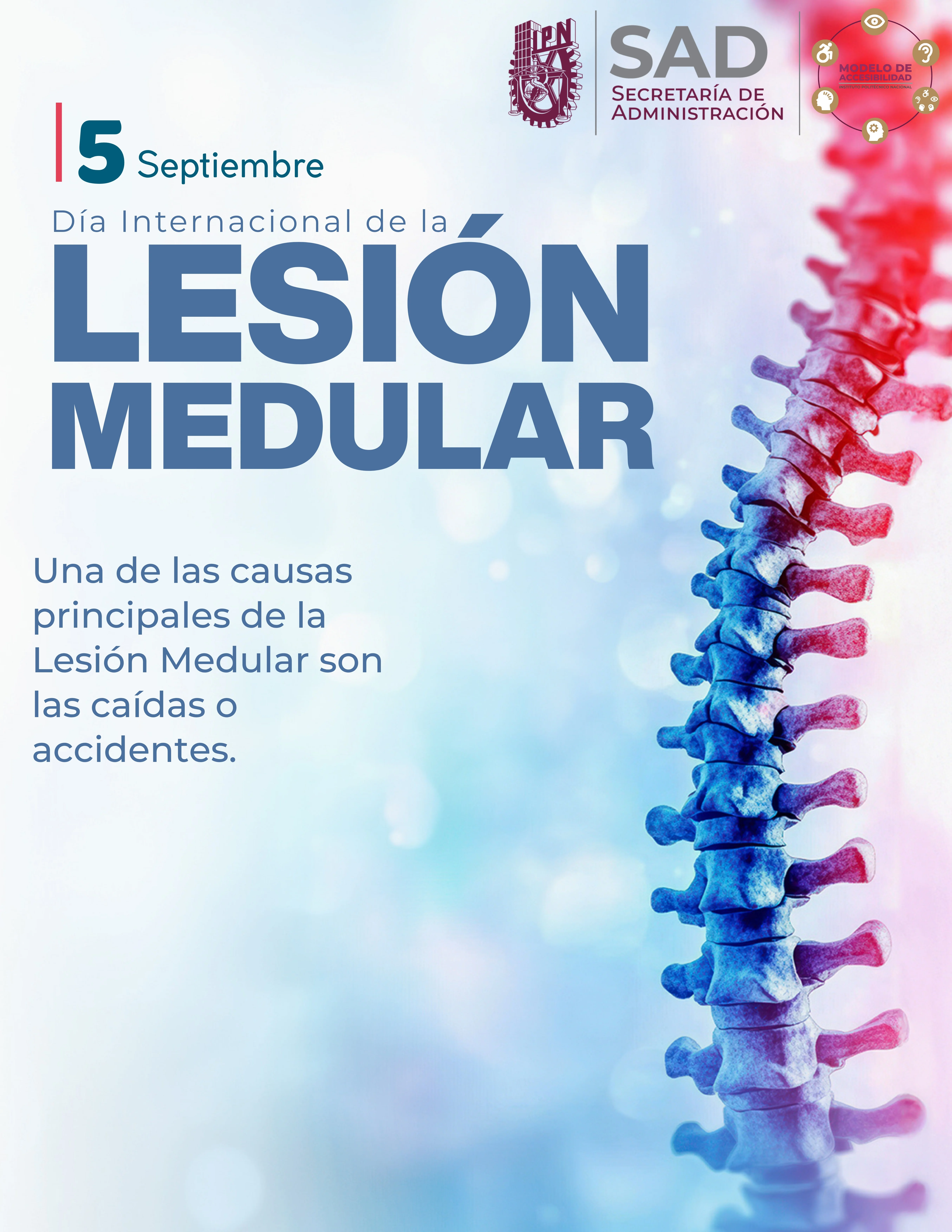 Dia_Internacional_de_la_Lesion_Medular
