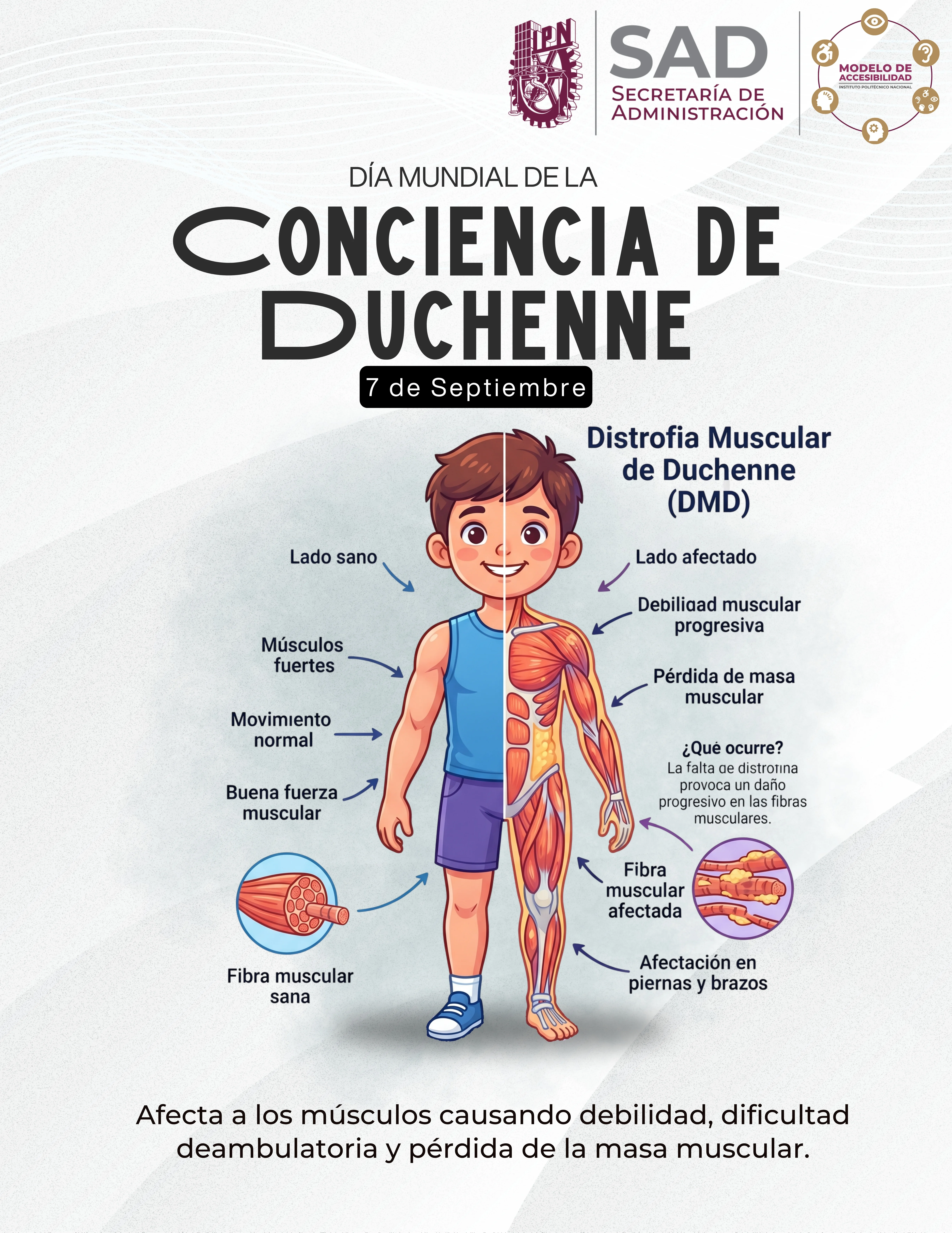 Dia_Mundial_de_la_Conciencia_de_Duchenne