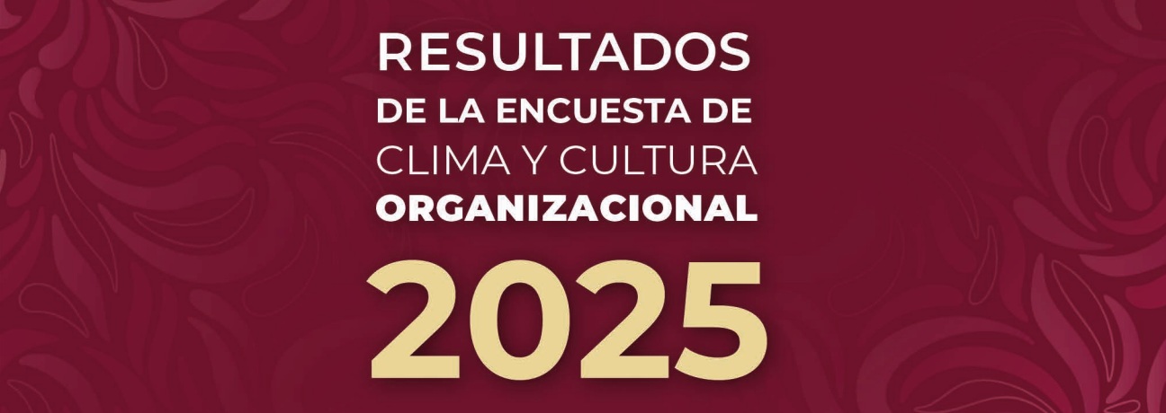 RESULTADOS ECCO 2025