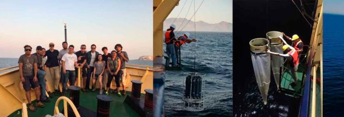 IPN studies Gulf of California for ocean warming