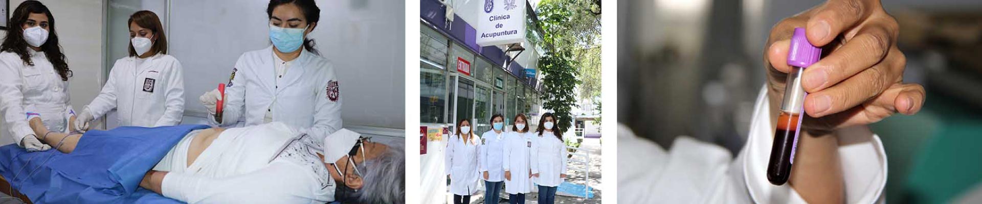 IPN researchers apply therapeutics to reduce triglyceride and cholesterol levels