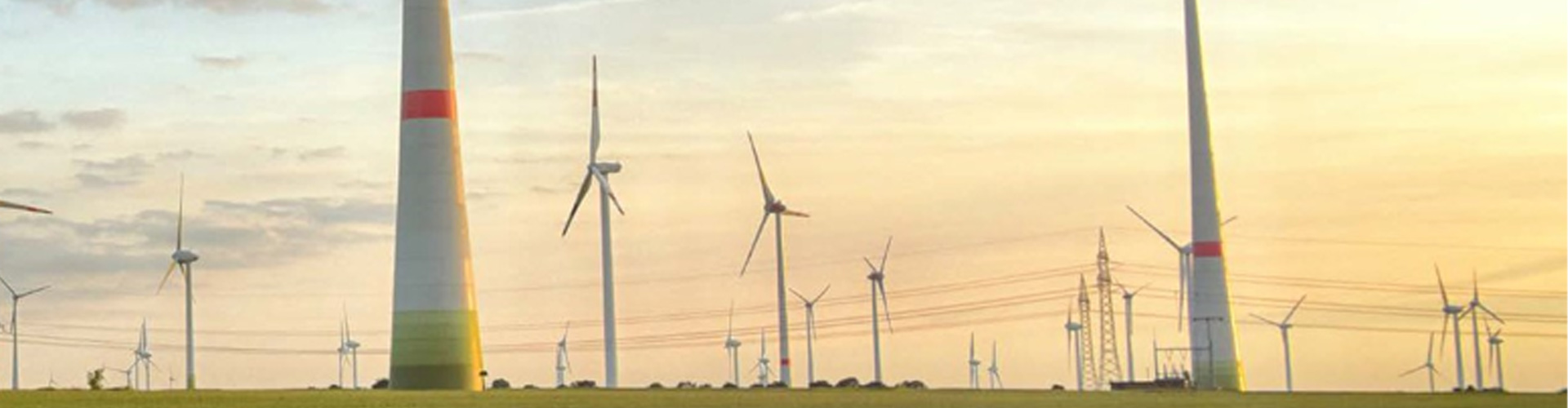 IPN contributes to the development of renewable energies