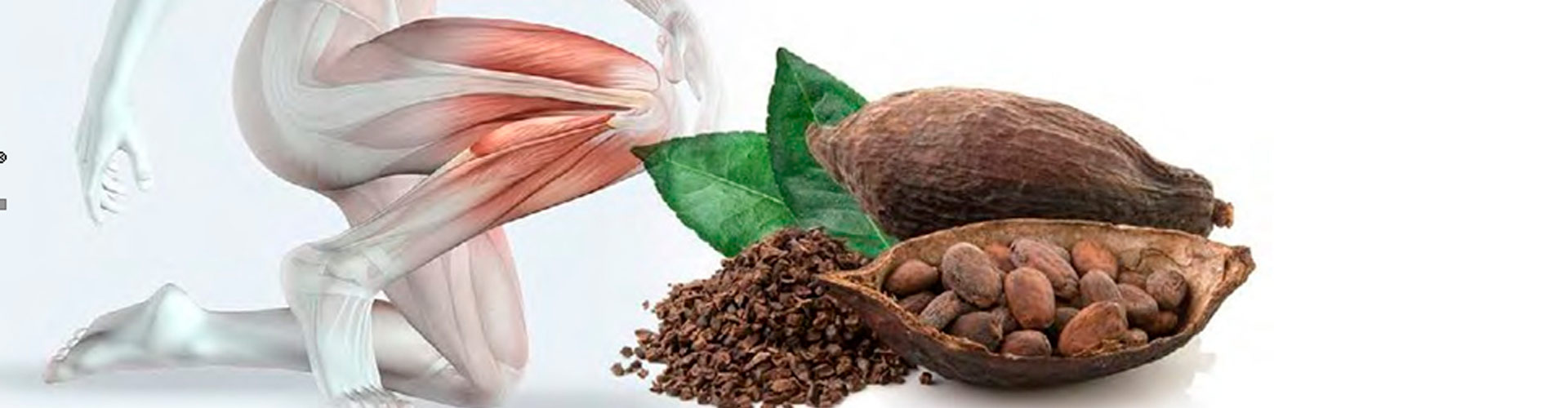 Cocoa Compound for Muscular Conditions