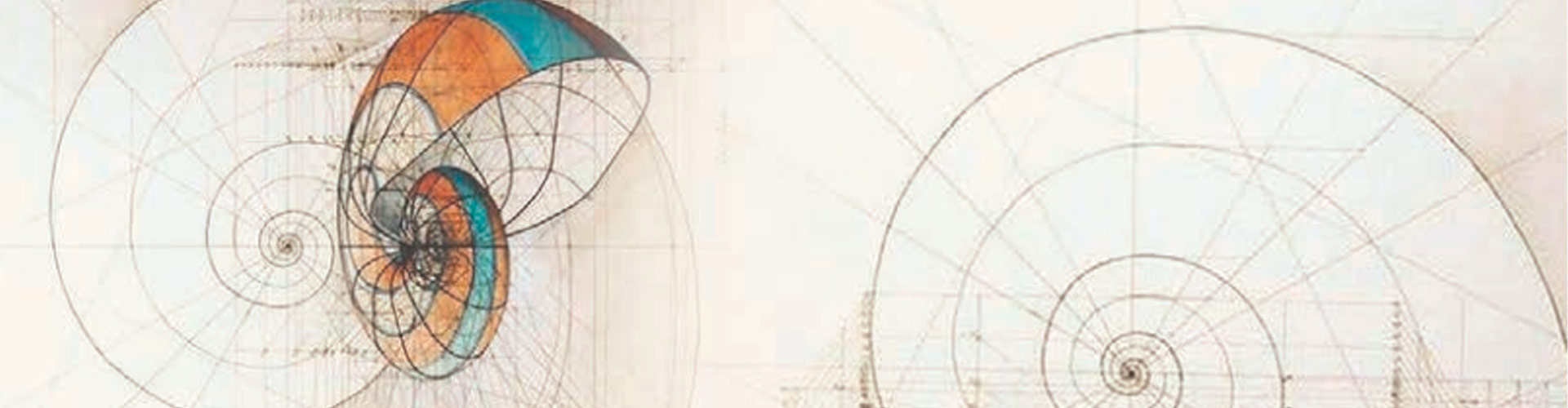 Beauty, a mathematical expression