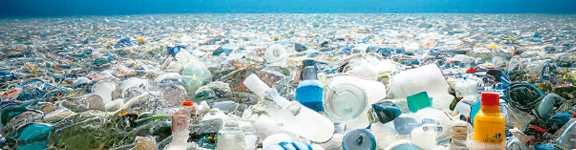 Microplastics: a threat to animal and environmental health