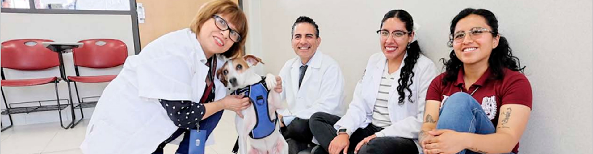 Give a paw to improve school performance