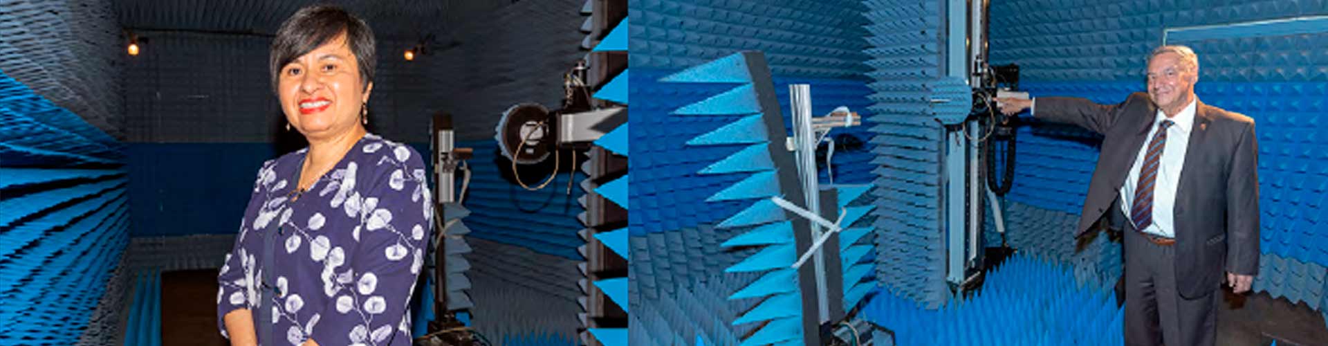 IPN supports the telecommunications sector with LaNTA