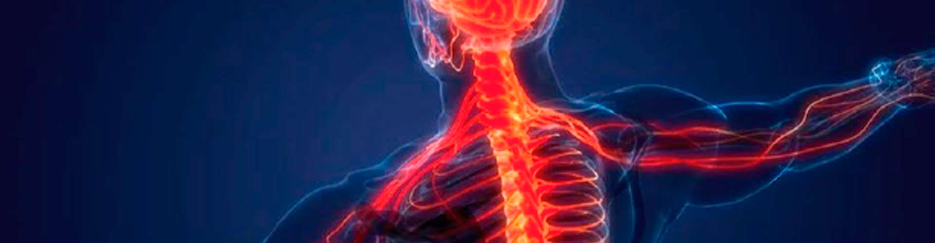 Guillain-Barré Syndrome: An Ailment with Uncertain Cause