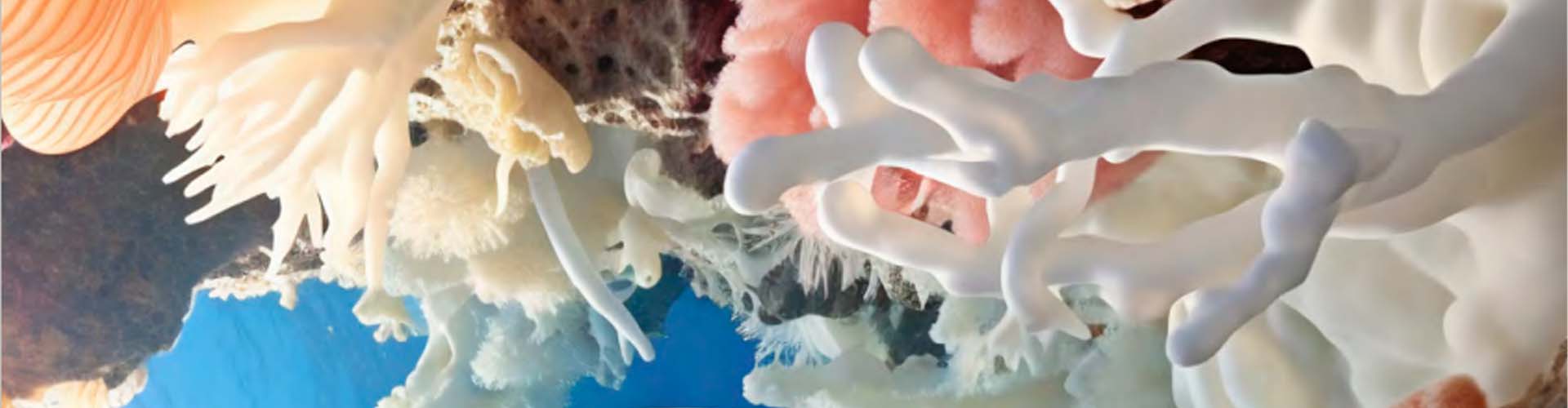 Monitoring the Health of Commercially Important Marine Species